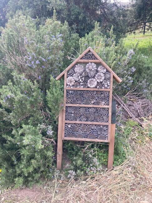 WWF E-BIKE TOUR | Riserva Naturale di Torre Salsa Con pranzo - FAQ