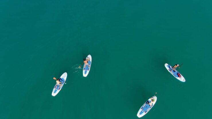 WWF Torre Salsa Nature Reserve SUP Tour CALA From MANBRU - Good To Know