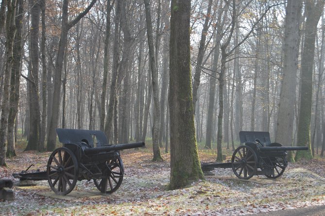 WWI Belleau Wood & Meaux Museum of the Great War Private Day Trip From Paris - The Sum Up