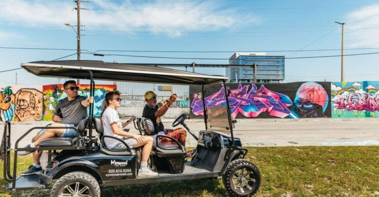 Wynwood Art District 1-Hour Street Art Tour by Golf Cart - Explore Wynwood by Golf Cart