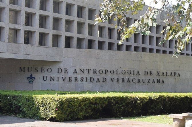 Xalapa and its aroma of coffee. Fall in love! - Good To Know  