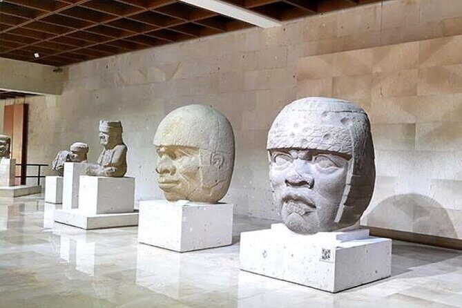 Xalapa and its aroma of coffee. Fall in love! - Authentic Experiences and Hidden Gems