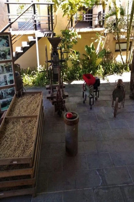 Xalapa: Explore Its Cultural and Natural Wonders - Explore Coffee Plantations