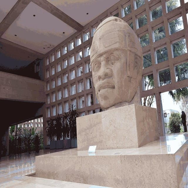 Xalapa: Explore Its Cultural and Natural Wonders - Convenient Transportation Options