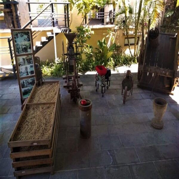 Xalapa: Explore Its Cultural and Natural Wonders - What to Expect