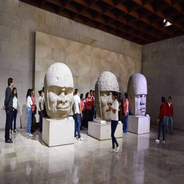 Xalapa: Explore Its Cultural and Natural Wonders - Frequently Asked Questions