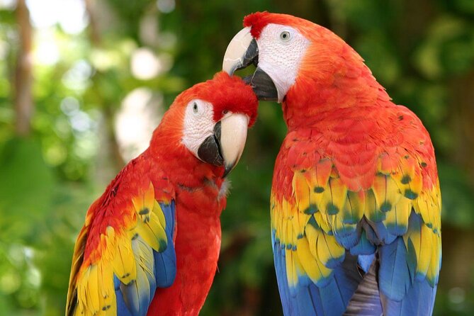Xcaret, Chichen Itza & Isla Mujeres Catamaran 3 Days Combo - Good To Know