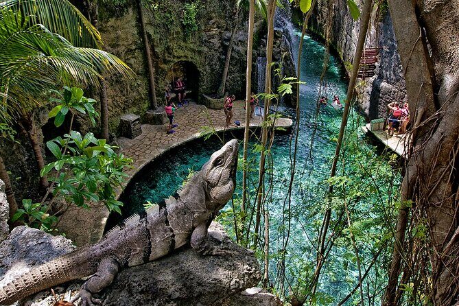 Xcaret Nature Adventure - What Is the Xcaret Nature Adventure?