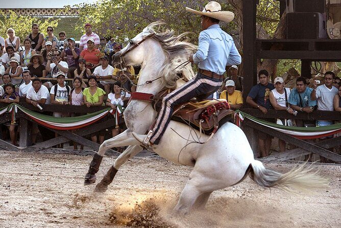 Xcaret Park Day Tour & Night Show with Transportation - An In-Depth Look at the Tour
