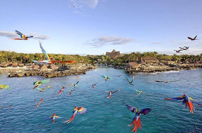 Xcaret Park Day Tour & Night Show with Transportation - FAQs