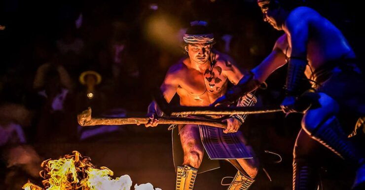 Xcaret Park: Full-Day Ticket With Night Show - Ticket Details and Accessibility