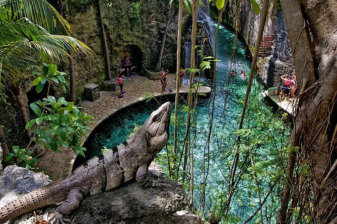 Xcaret Plus & Swim in the Underground River & Buffete Only From Cancun - Overview of Xcaret Eco-Archaeological Park