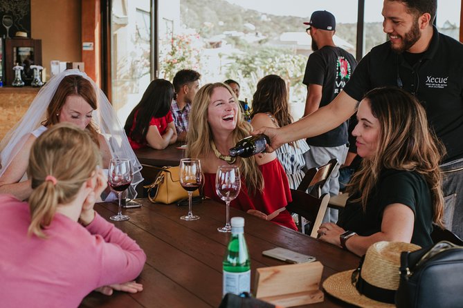 Xecue Wine Tasting in the Guadalupe Valley - Overview and Experience