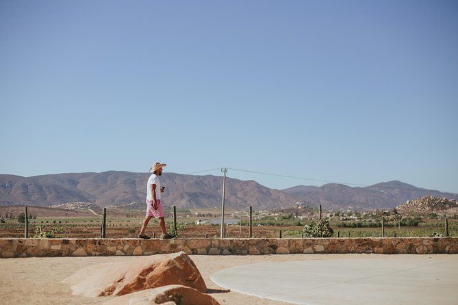Xecue Wine Tasting in the Guadalupe Valley - Meeting and Accessibility