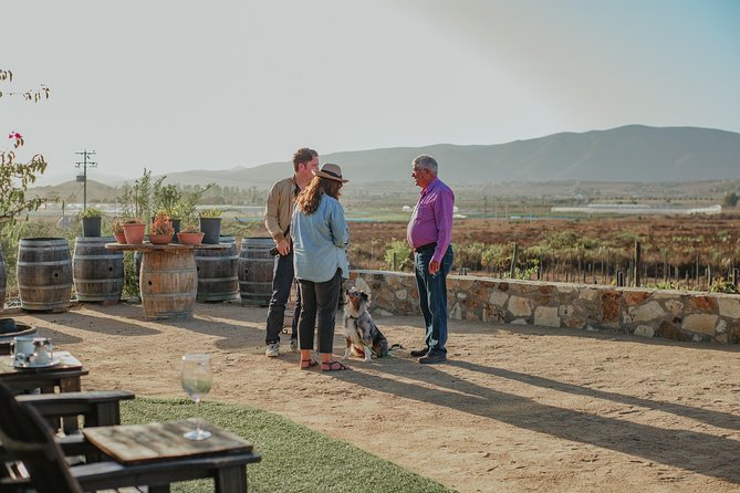 Xecue Wine Tasting in the Guadalupe Valley - Cancellation Policy and Price