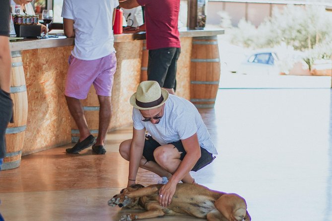 Xecue Wine Tasting in the Guadalupe Valley - Common Questions