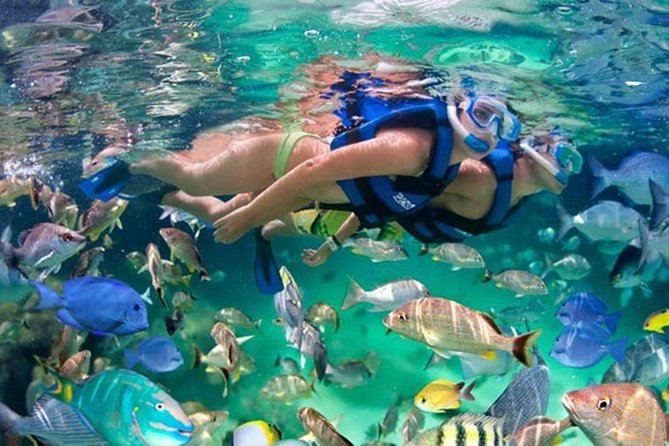 Xel-Ha All-Inclusive Full-Day Package With Transfers - Cancun - Inclusions and Activities