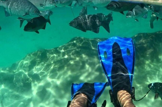 Xel-ha All Inclusive Tour - FAQs