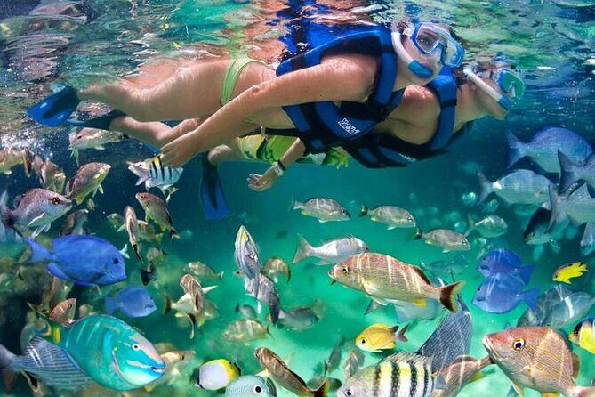 Xel-Há Aquatic Theme Park Private 12 hrs Trip from Cancun by van - The Sum Up: Is This Tour Right for You?  