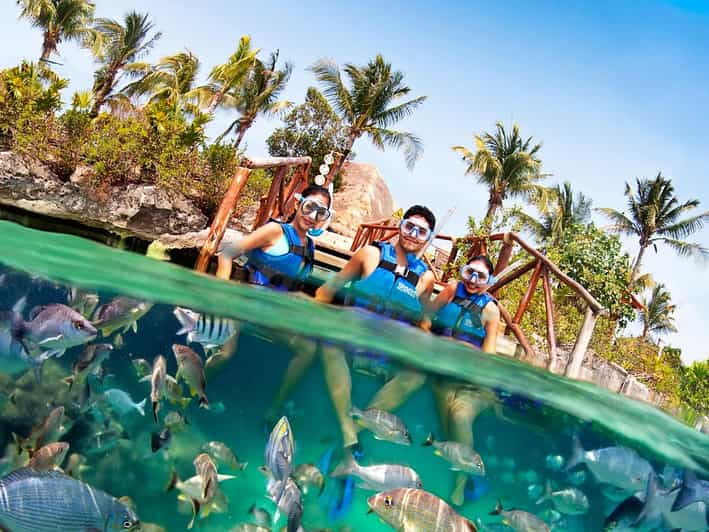 Xel-Ha - Activities and Experiences