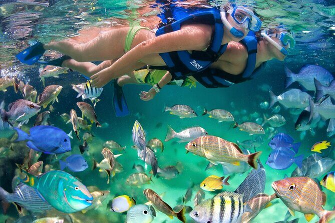 Xelha Tickets with Transportation - Good To Know