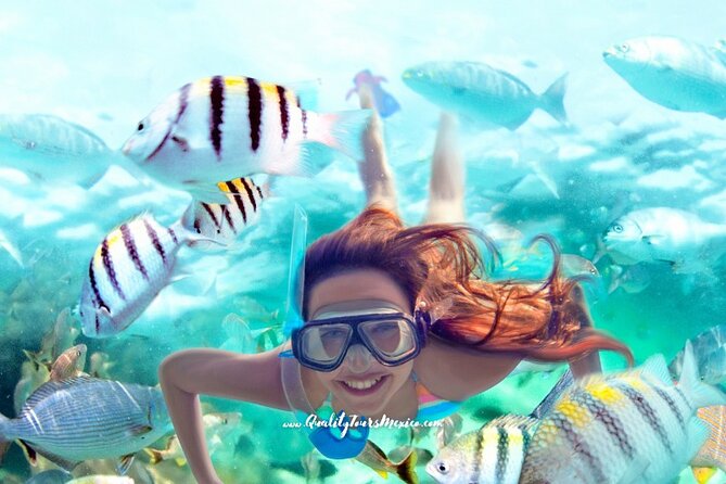 Xelha Water Park - Park Access Ticket