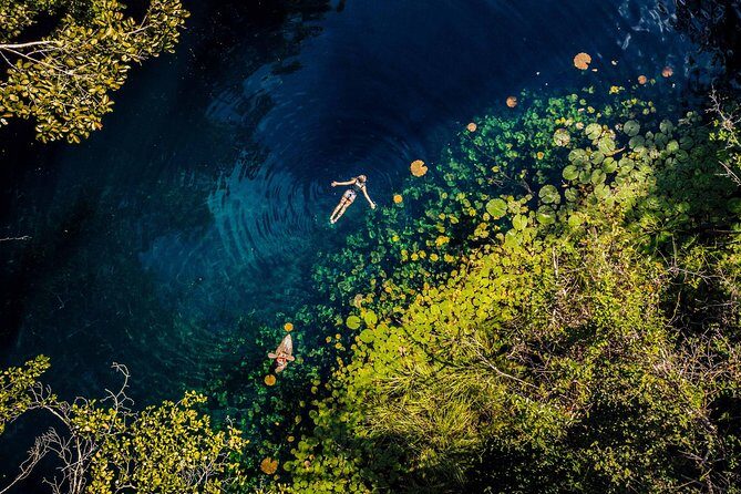 Xenotes Adventure from Riviera Maya - Value and Pricing: Is It Worth It?