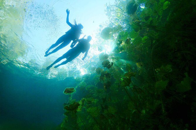 Xenotes Adventure from Riviera Maya - FAQs