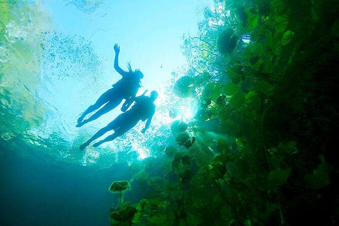 Xenotes Adventure, Oasis Maya from Cancun and Playa del Carmen - Who Is This Tour Best For?