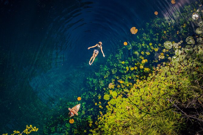 Xenotes - End Point and Cancellation Policy