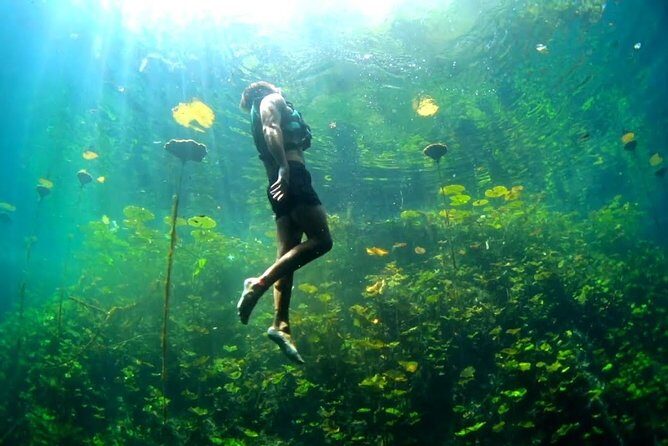 Xenotes Full Nature Experience! Round Transportation From Cancun & Riviera Maya - Introduction