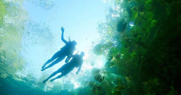 Xenotes Oasis Maya Tour - Frequently Asked Questions