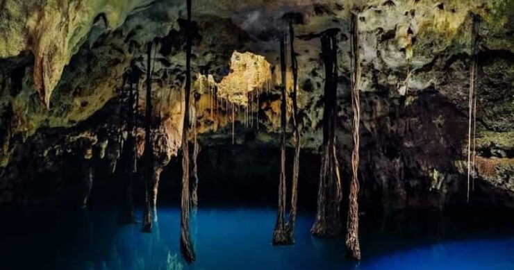Xenotes Oasis Maya Tour - Good To Know