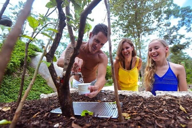 Xenses Park by Xcaret Full-Day Tour With Hotel Pickup - Cancun - Visitor Reviews and Ratings