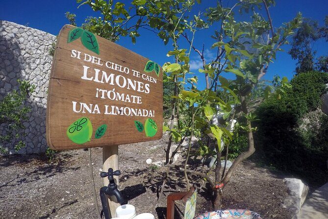 Xenses Park: Fantastic Scenarios - The Sum Up