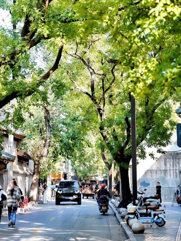 Xian Bell and Drum Tower & City Wall One-Day Small Group Tour - Who should book this Xi’an city walk?