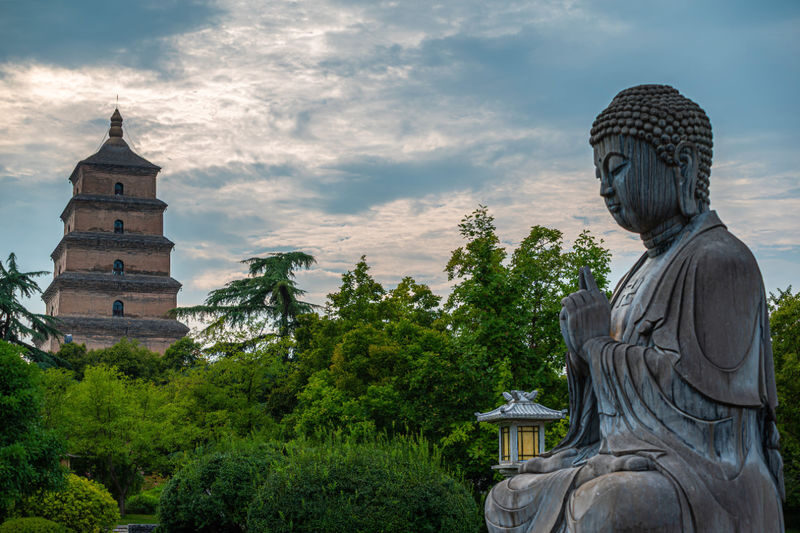 Xian Giant Wild Goose Pagoda and City Wall One-Day Tour - Walking the Ming City Wall