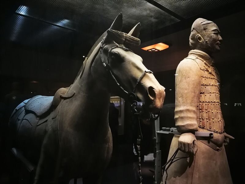 Xian: Terracotta Army Small Group Tour (6 or 16 Guests) - Choosing between the six- and 16-person groups