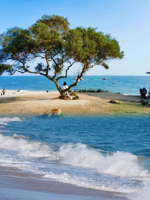 Xiamen Gulangyu Island Full-Day Cultural Tour - Beach air, a garden and antique pianos