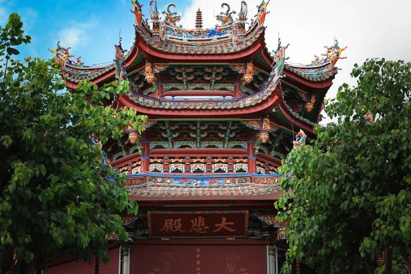 Xiamen Gulangyu Island Full-Day Cultural Tour - The walking and group realities