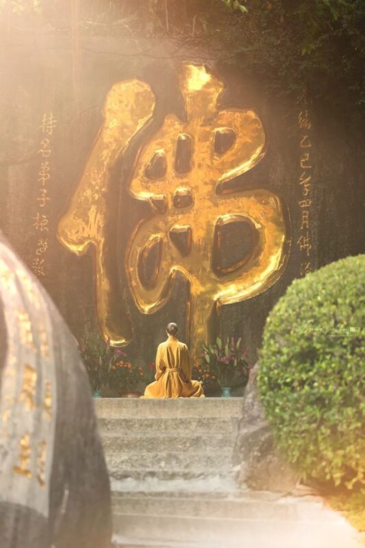 Xiamen Gulangyu Island Full-Day Cultural Tour - Who should book this day