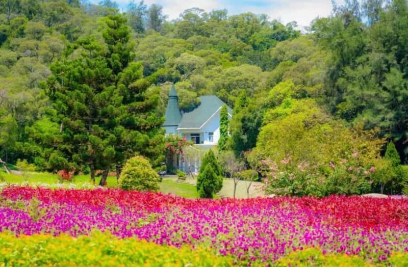 Xiamen In-Depth Day Tour: Mountains, Sea & Heritage - A Complete Look at the Xiamen In-Depth Day Tour
