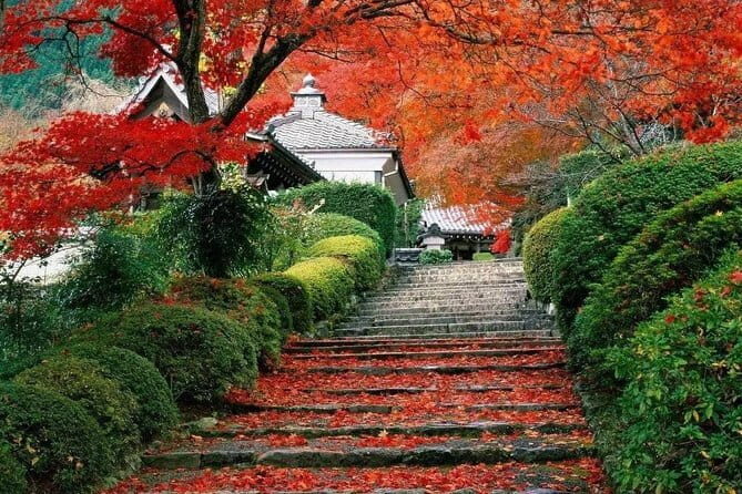 Xi'an: 1-Day Terracotta Warriors Tour from Beijing by Train - The Sum Up