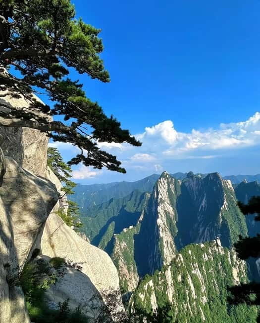 Xi'an: 6-Day Guided Tour with Meals and Transfers - Who Is This Tour Best For?