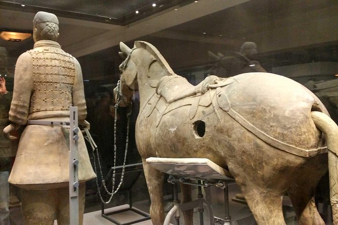 Xian Coach Tour: Discover Terracotta Warriors and Qin Shi Huang Mausoleum - What To Expect