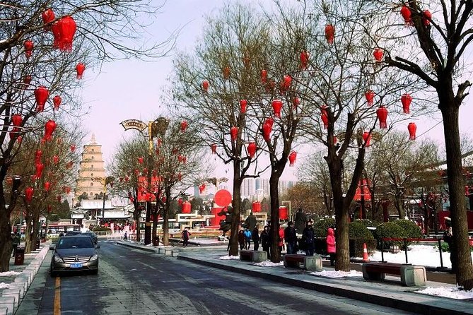 Xian Day Trip of Terracotta Warriors, City Wall, Big Wild Goose Pagoda - Visitor Information