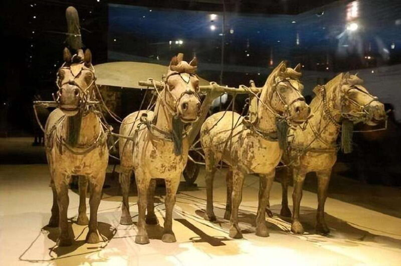 Xian: Emperor Qinshihuang Mausoleum Site Museum Entry Ticket - How You Get There