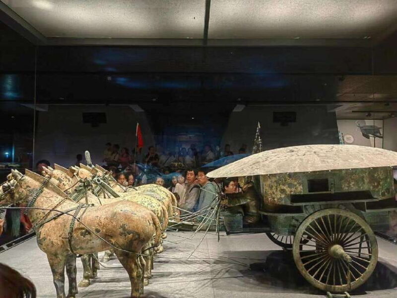 Xian: Emperor Qinshihuang Mausoleum Site Museum Entry Ticket - The Practical Side: Cost and Value