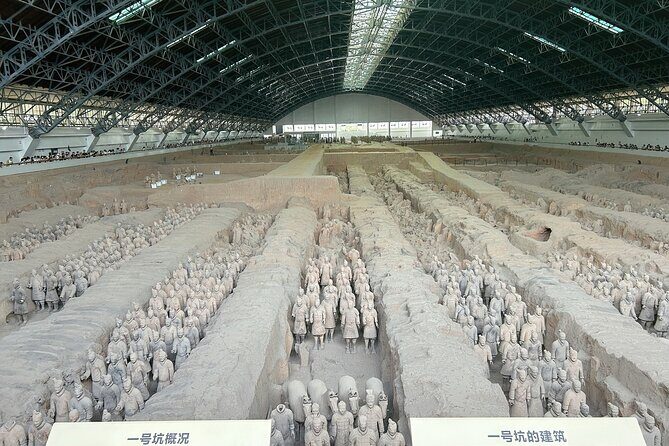 Xi'an: Exclusive Terracotta Army Tour & Local Family Lunch - Why This Tour Offers Great Value