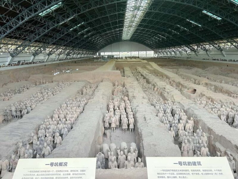 Xi'an Exclusive Terracotta Army Tour with Local Family Lunch - Good To Know